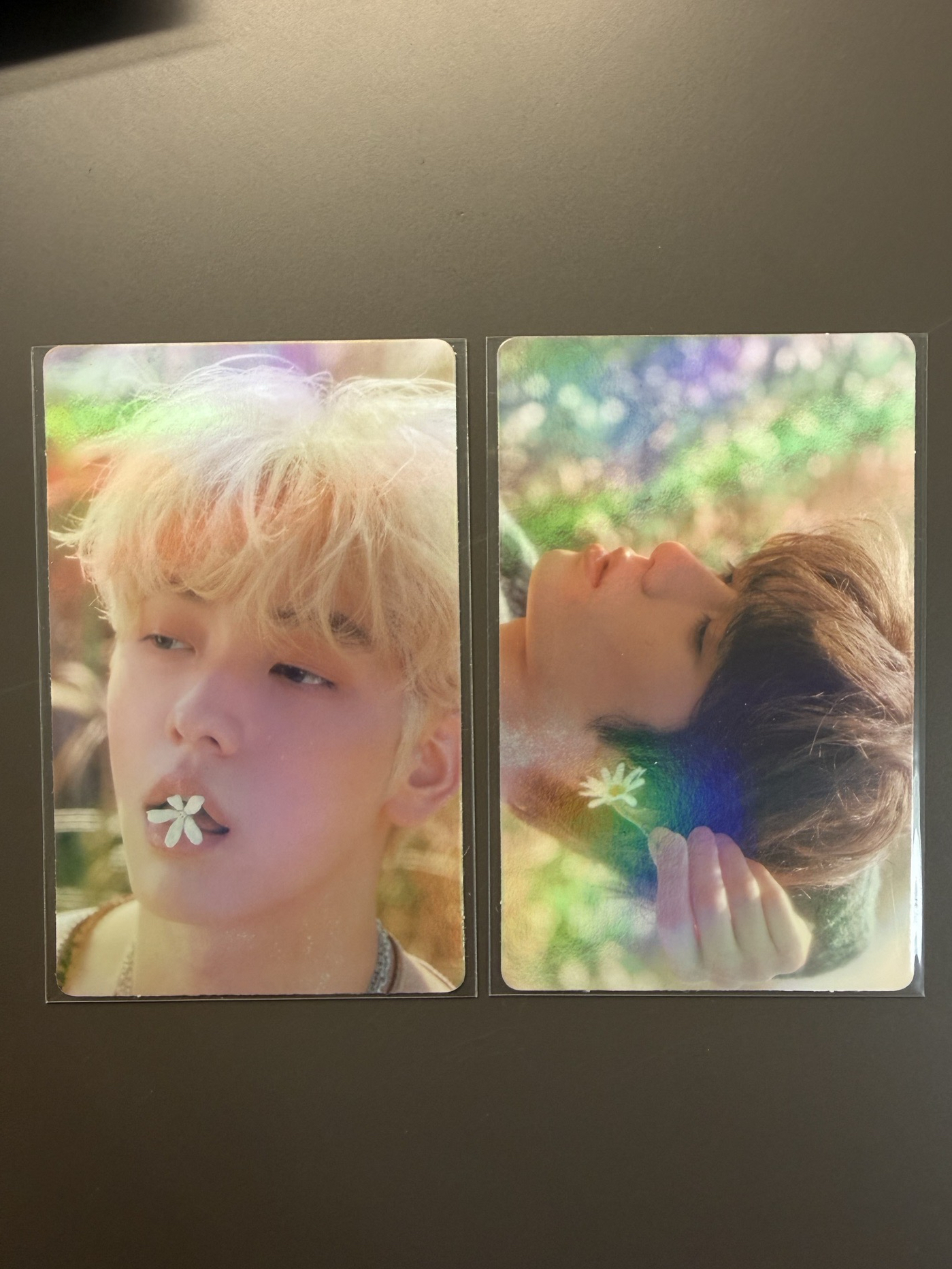 迷五 wvs PB版 特典卡 