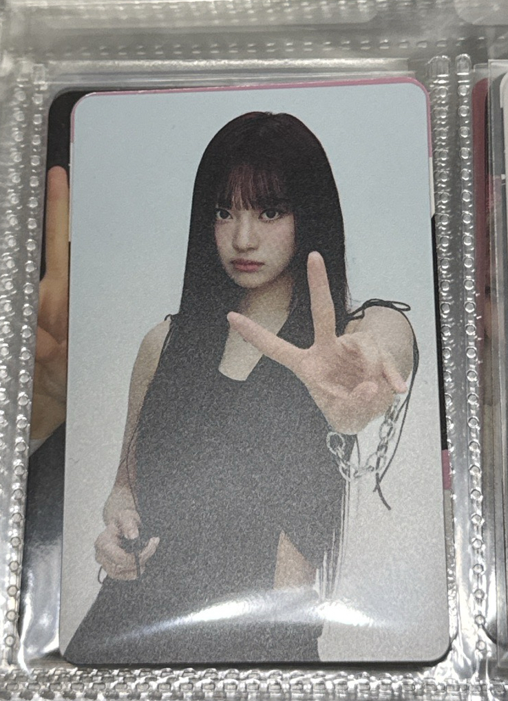 二巡 隨機卡 東蛋寧