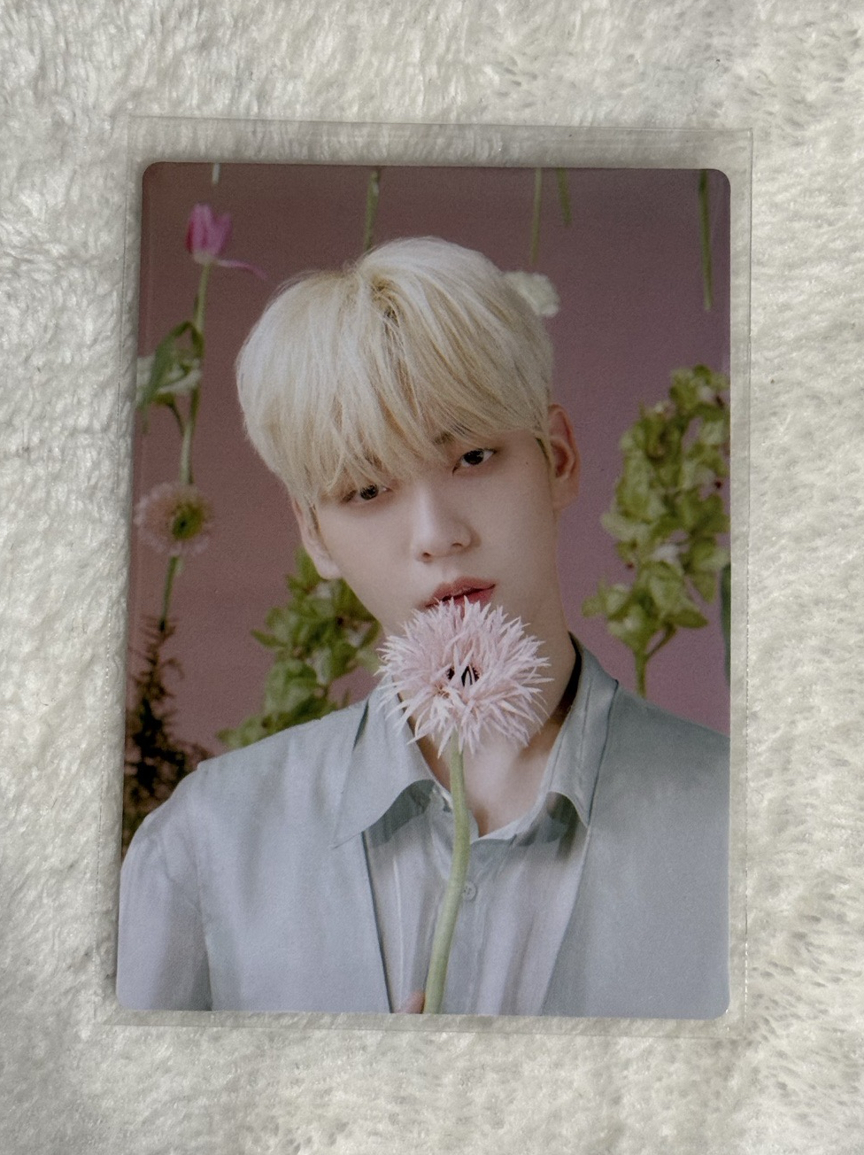 TXT 秀彬 23‘巡迴 京瓷場 隨機卡 