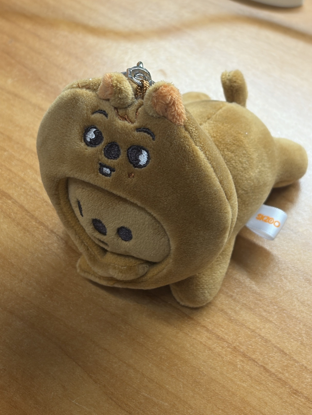 STRAYKIDS HAN 韓知城趴娃