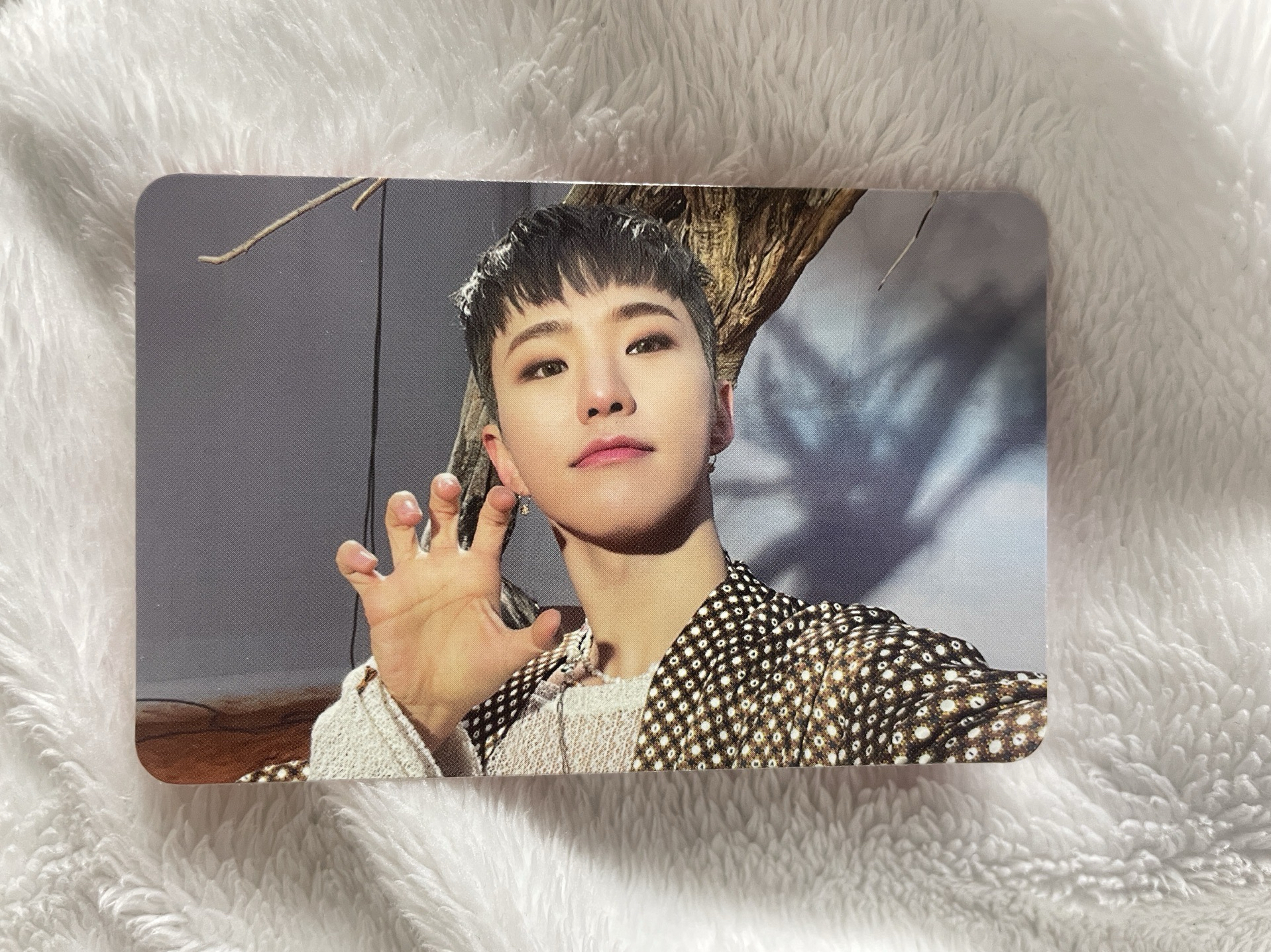 SEVENTEEN 正規四 FACE THE SUN EP3. 專輯卡-HOSHI 順榮