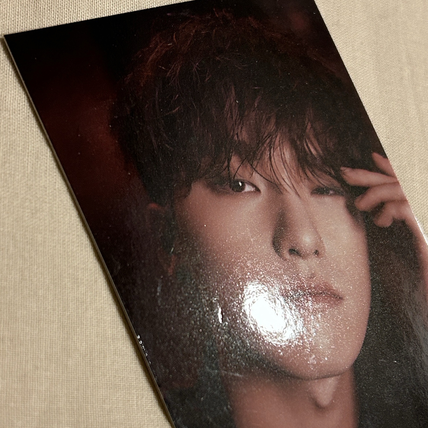 SVT｜23年曆 wvs特典 燦