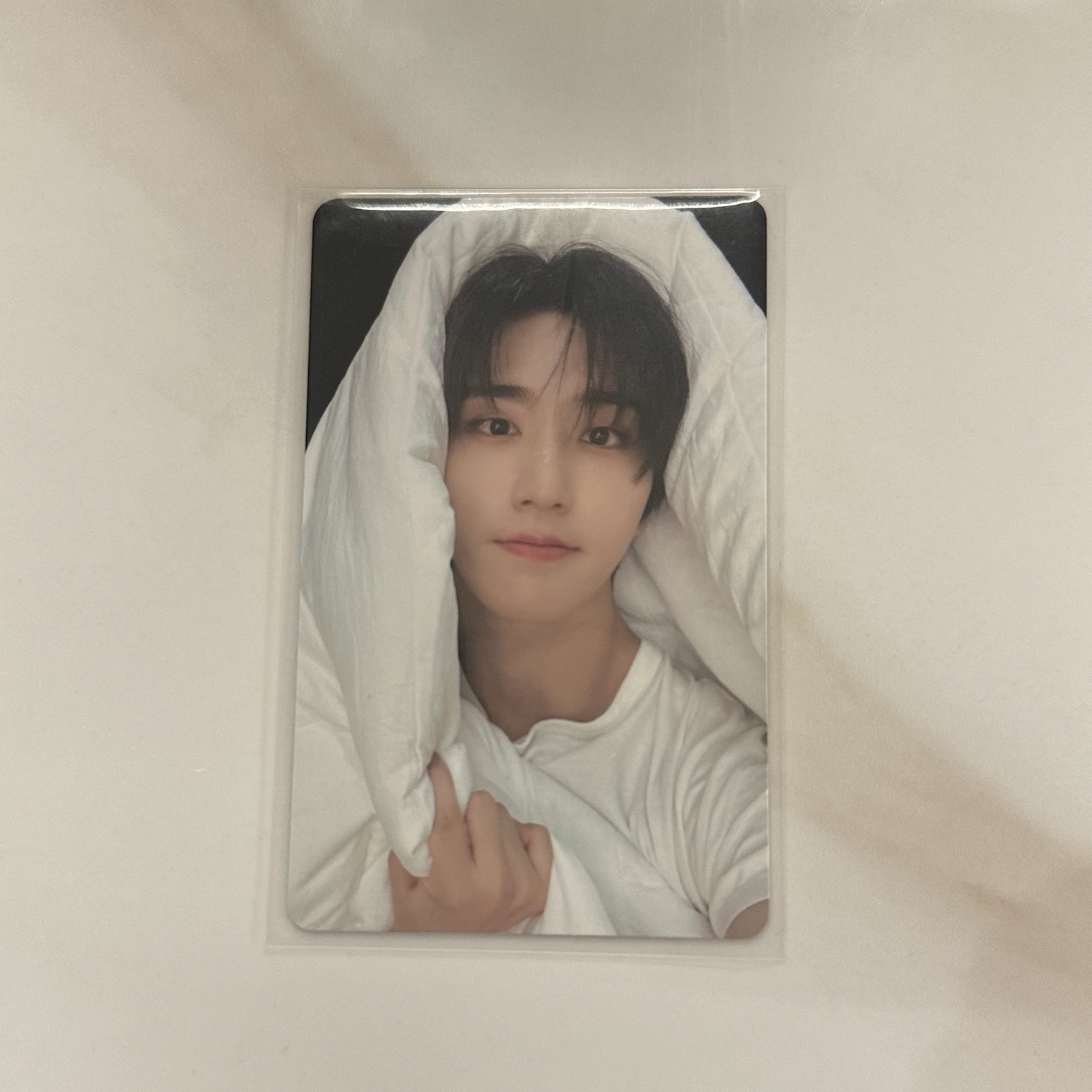 Stray Kids 韓知城 HAN 棉被城 合(HOP) jyp 特典卡 