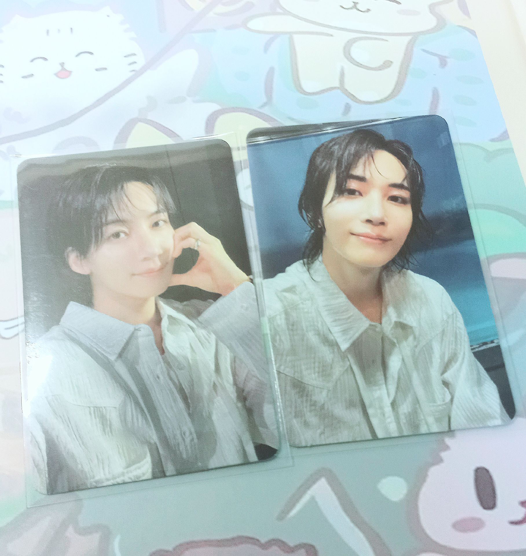 [現貨合售]淨漢 迷12專卡