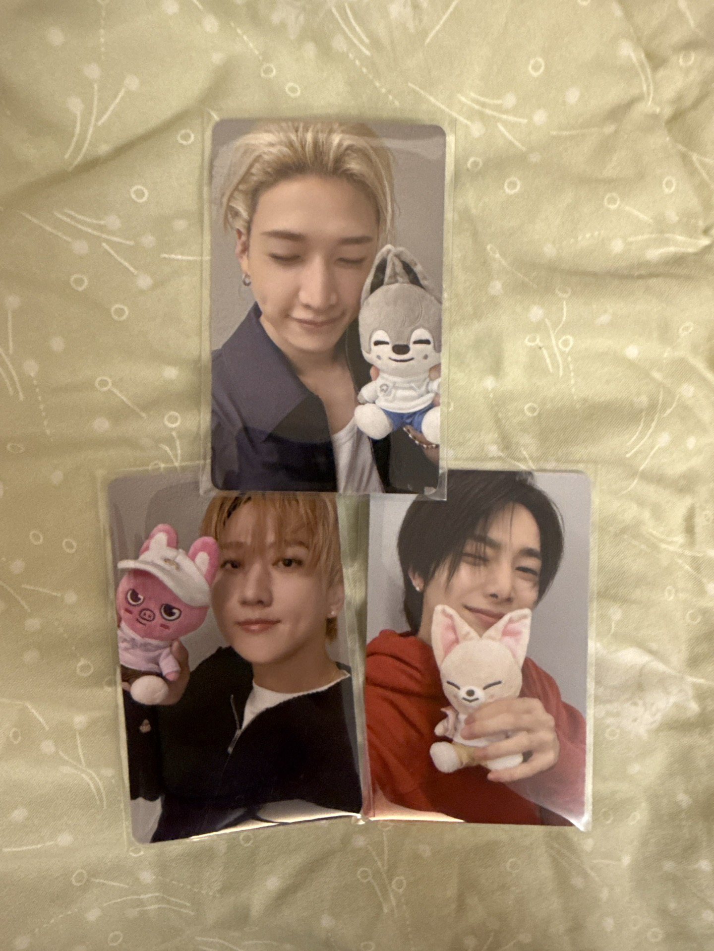 動物方城市 滿額卡