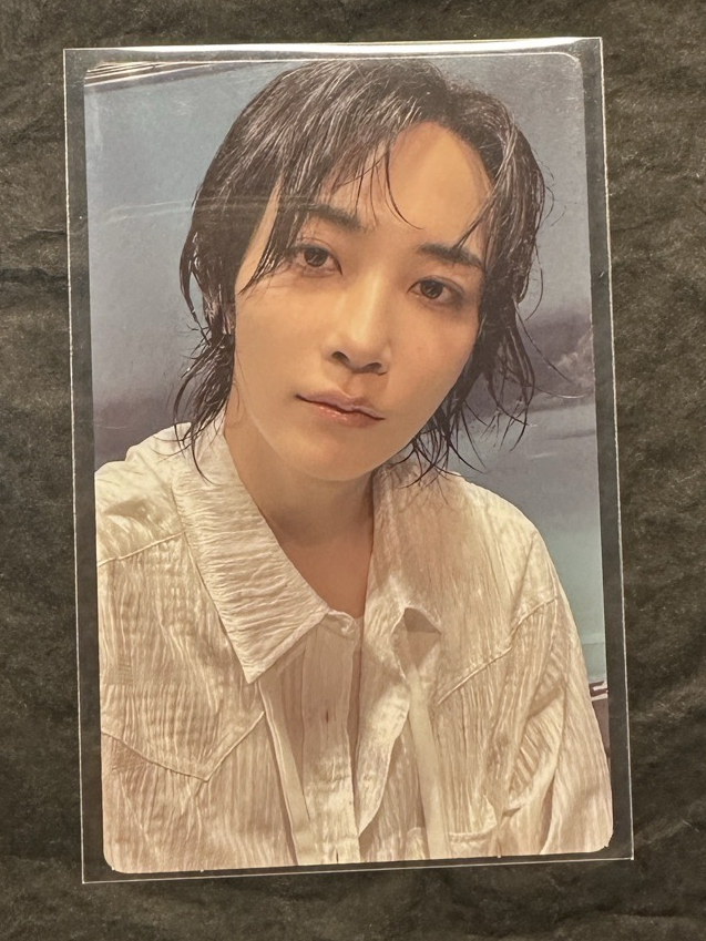 迷12 WVS 預售 漢