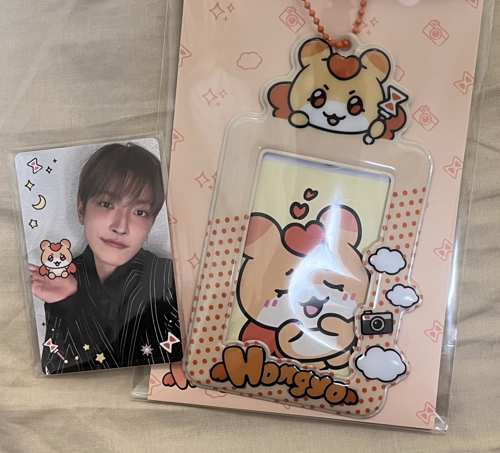 全新未拆 美國麥梯子卡套🐿️