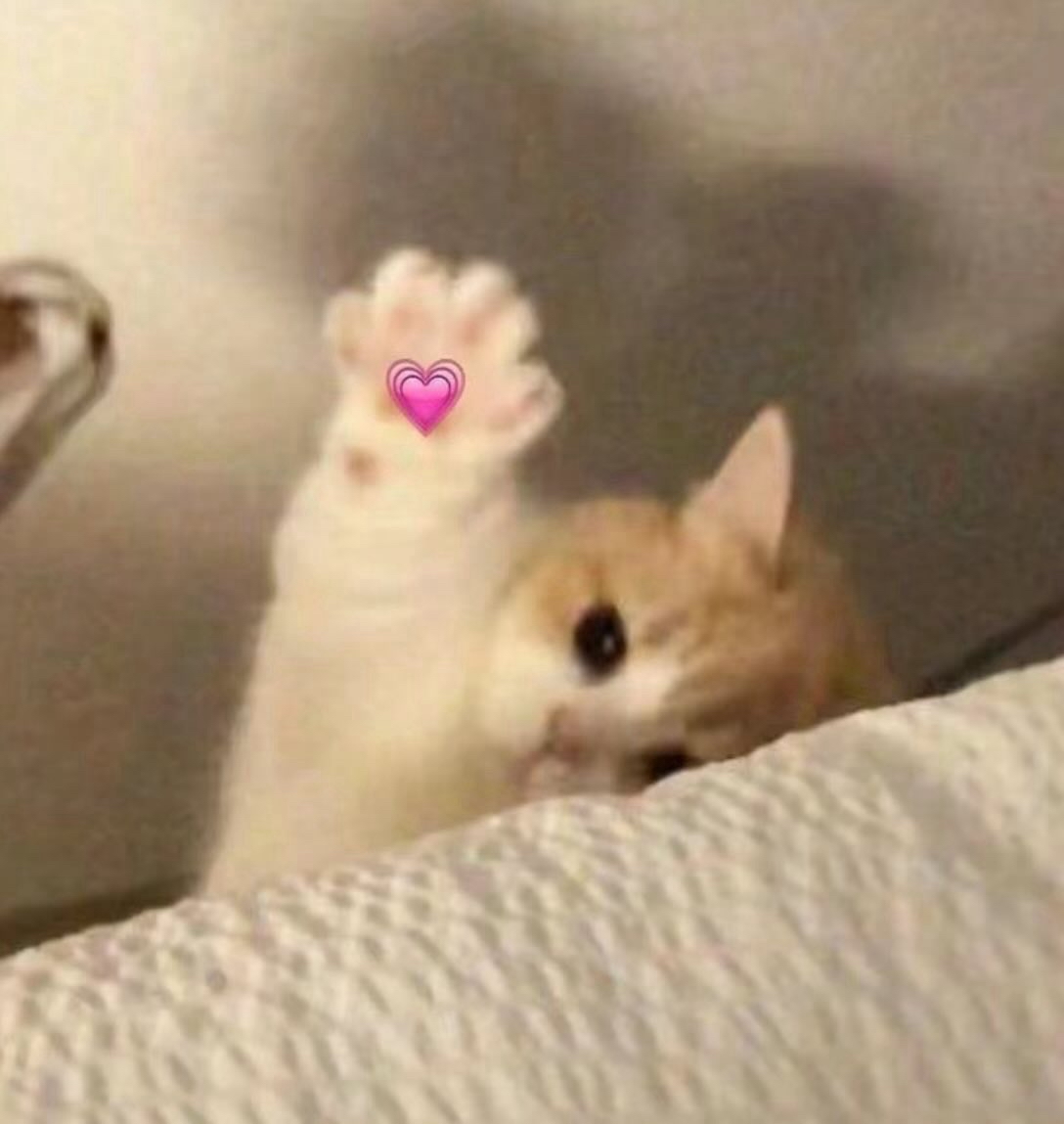 非現商品進度區