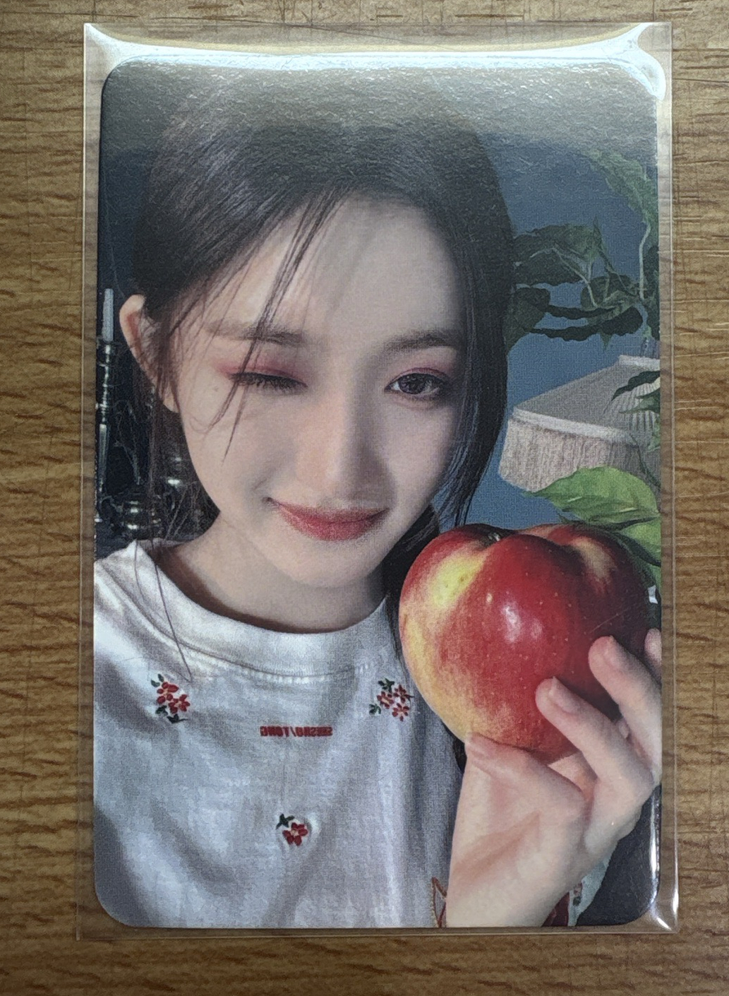 李瑞中文手寫卡背