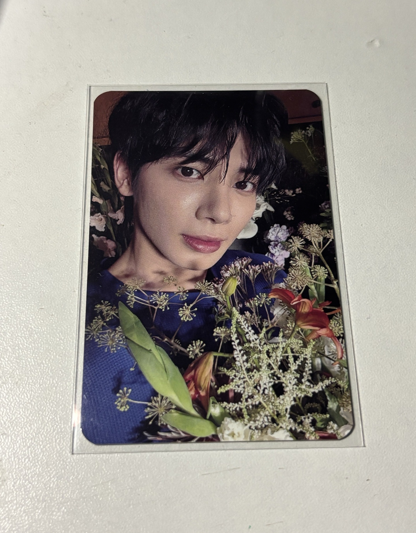 姜太顯 數星星中背