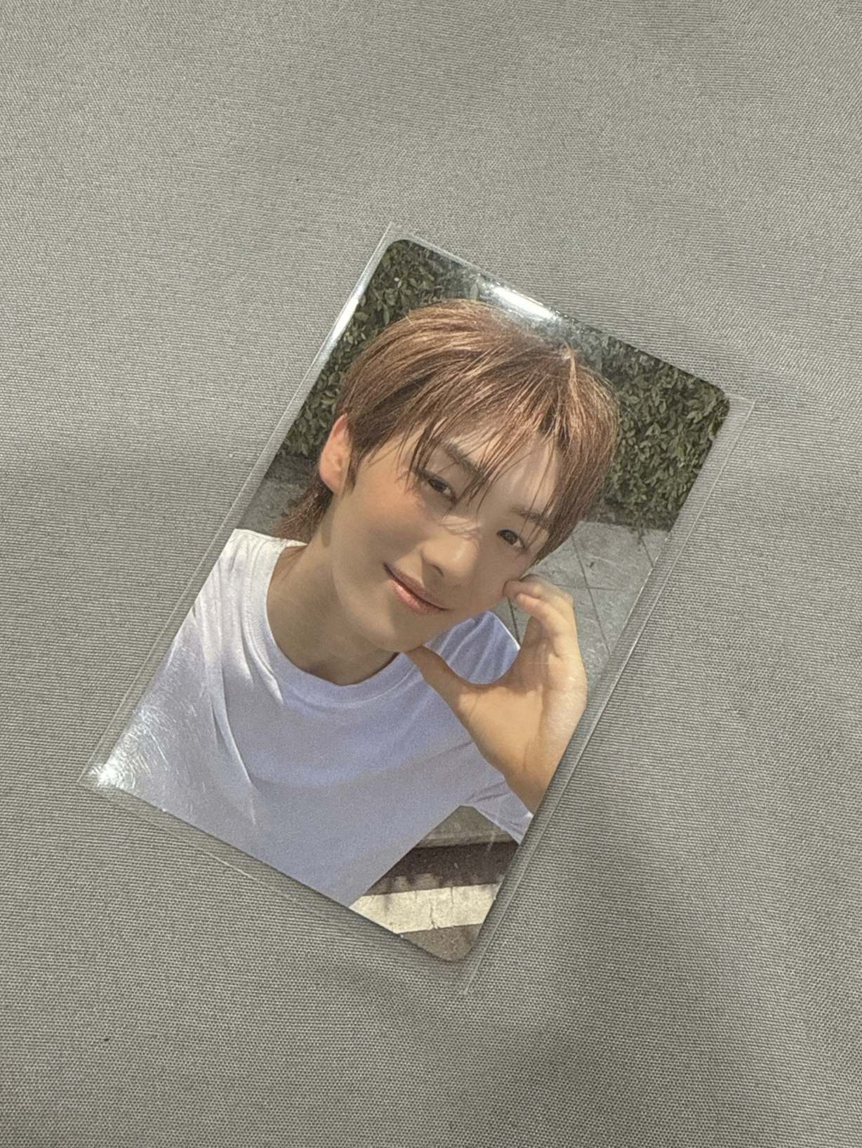 🤍迷二WVS特典卡