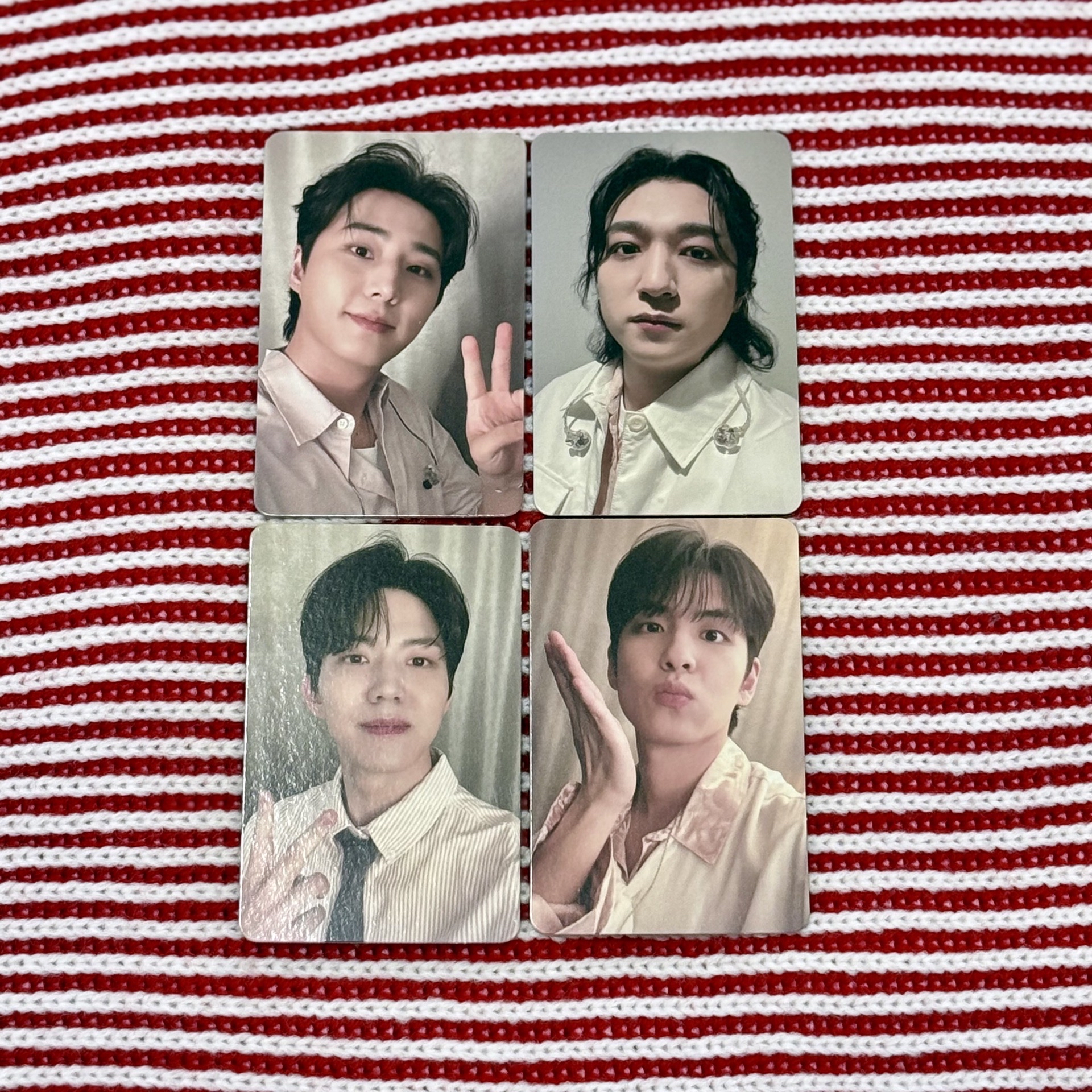 DAY6 FOREVERYOUNG安口場入場小卡 D5晟鎮 永哯 元弼 度雲 🐻🦊🐰🐶 성진 영케이 원필 도운