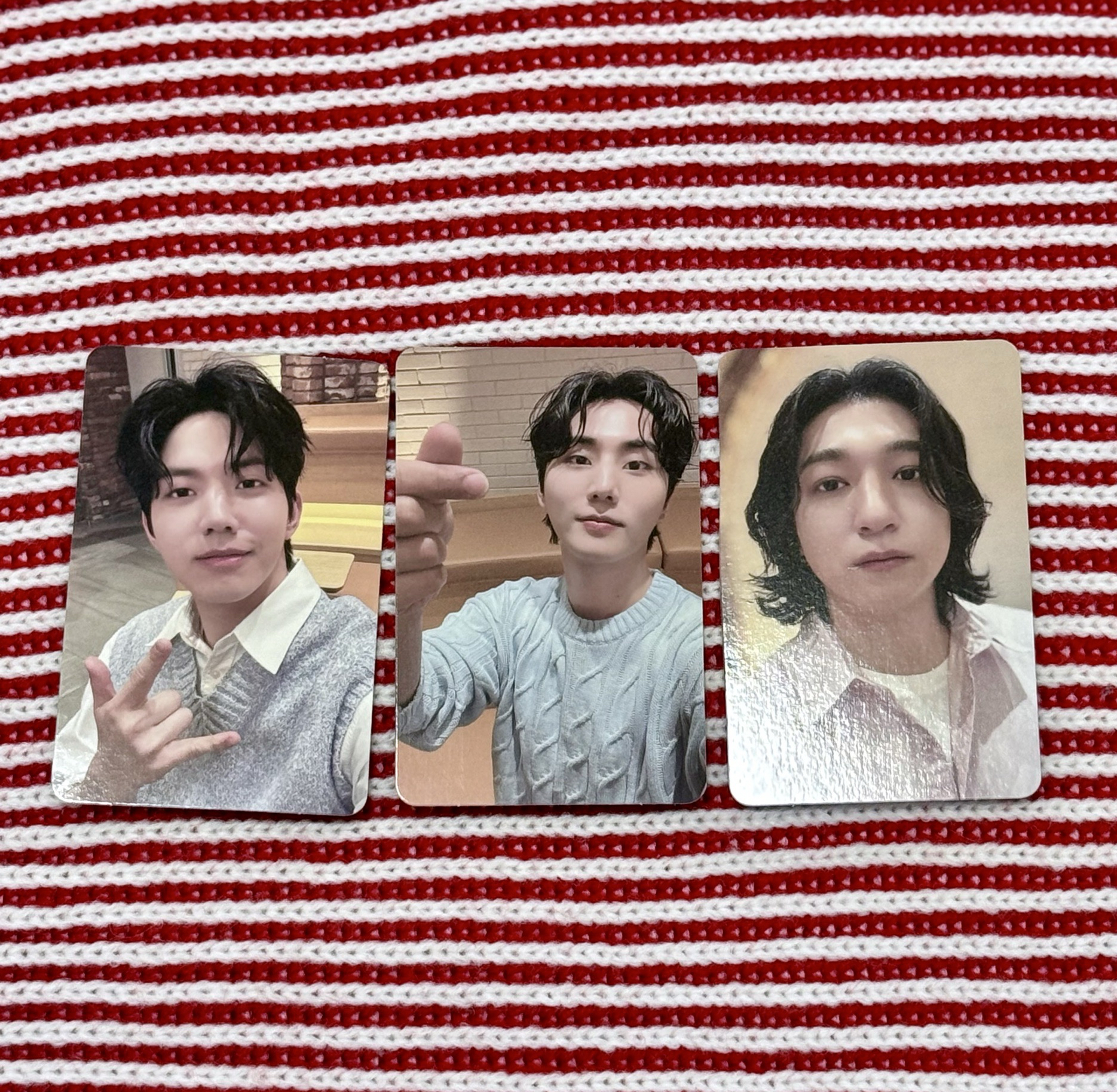 DAY6 FOREVERYOUNG安口場入場小卡 D6 晟鎮 永哯 度雲 🐻🦊🐶 성진 영케이 도운