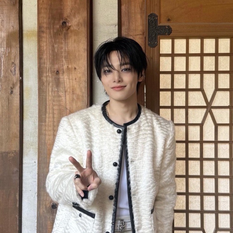 【Stray Kids】「梁精寅」SKZ I.N 寅 卡盤 小卡 特典 13張卡