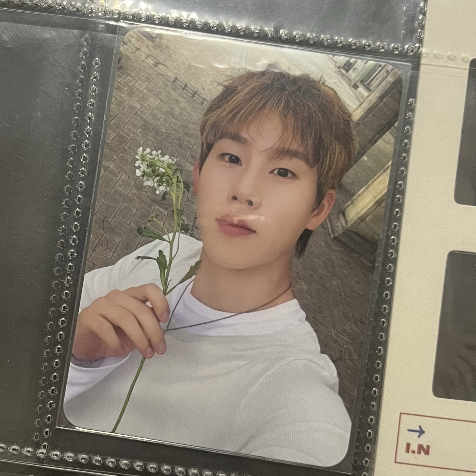 Monsta X The X Joohoney 周憲 專卡