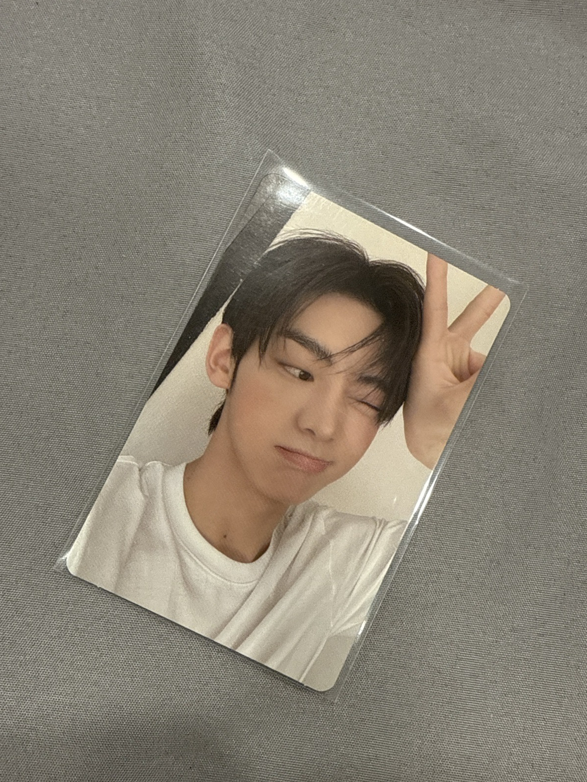 🤍迷二專卡（兔子比耶