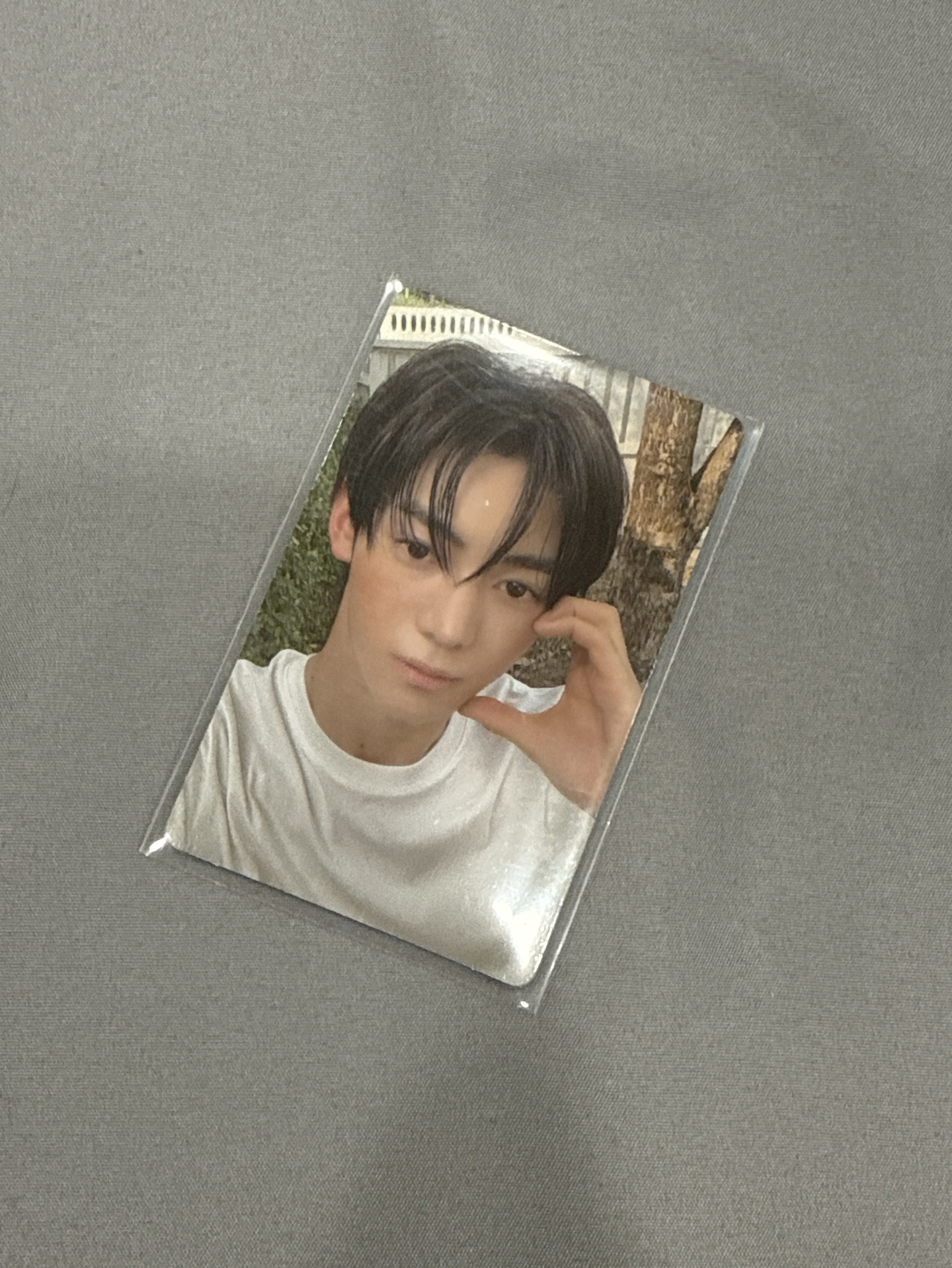 🤍迷二WVS特典卡