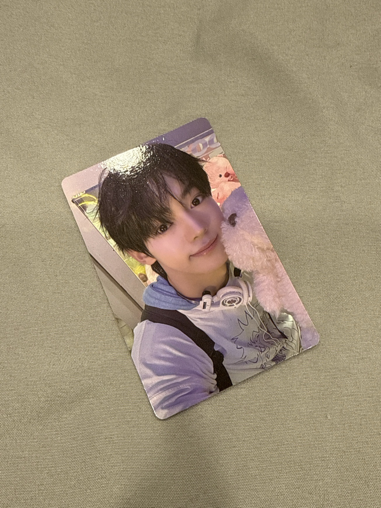 🤍迷三專卡（🐰🐶