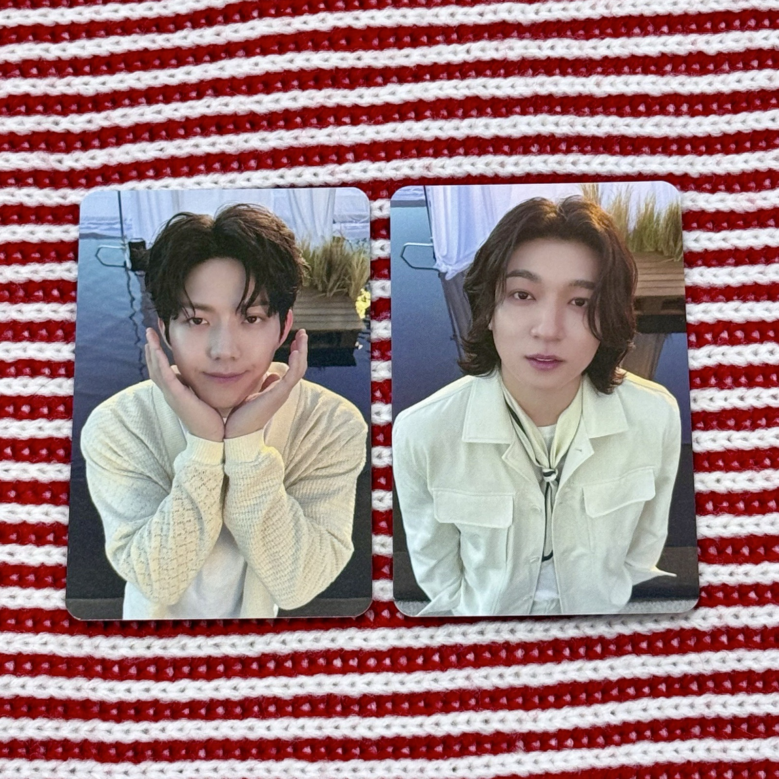 DAY6 2025 PIER10: All My Days 糖果卡套小卡🐻🐶성진 도운 晟鎮 度雲