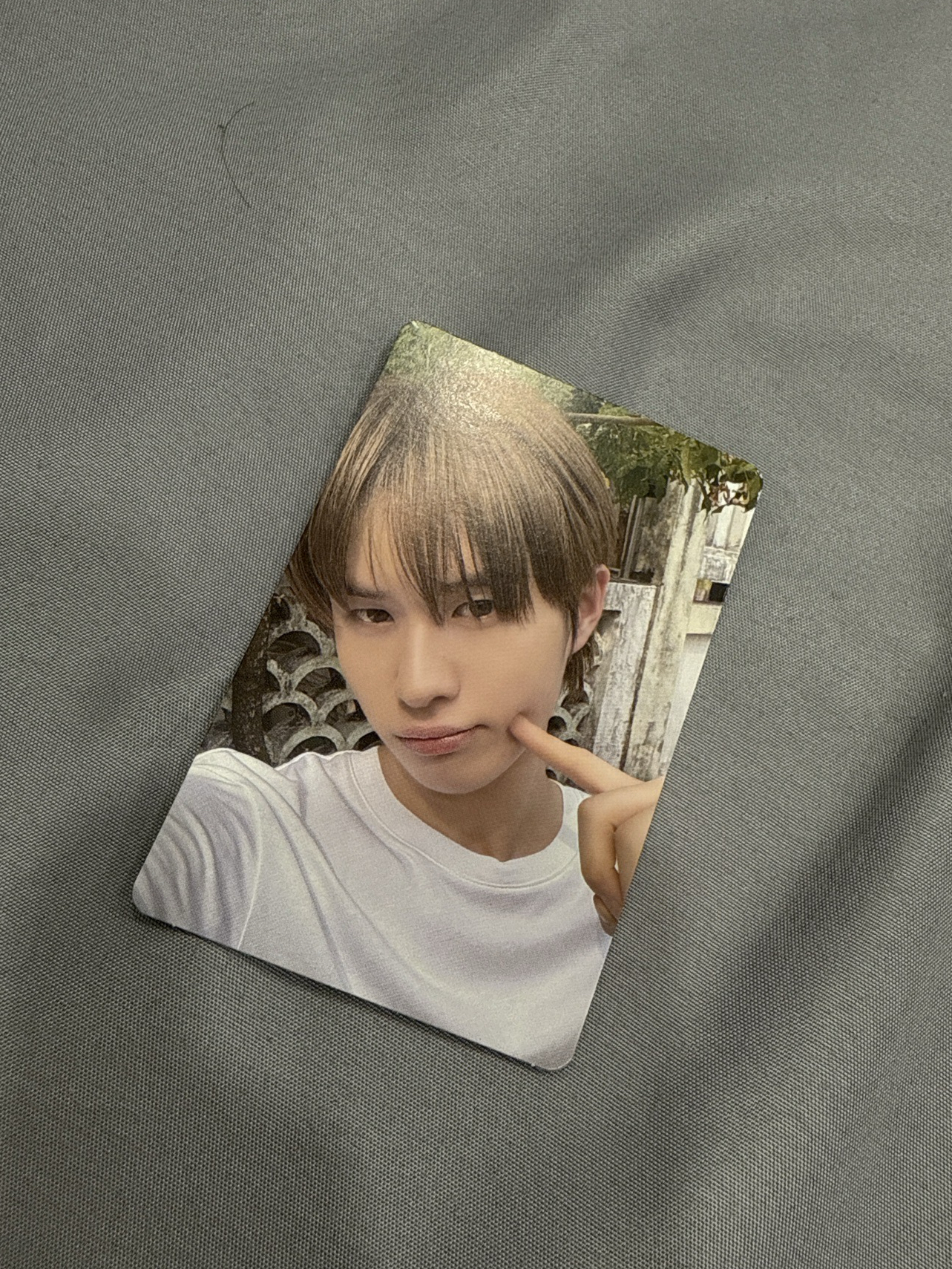 🤍迷二專卡（小臉臉