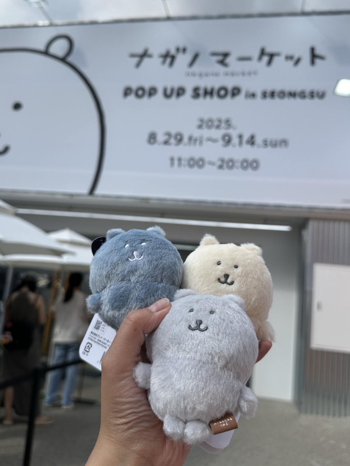 彩色熊 首爾限定色 水藍色