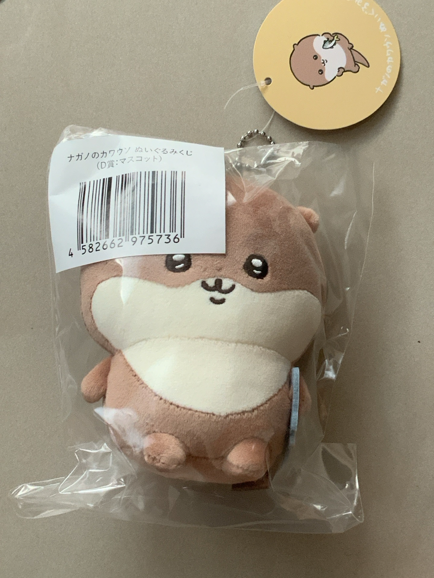 自嘲熊夥伴 水獺