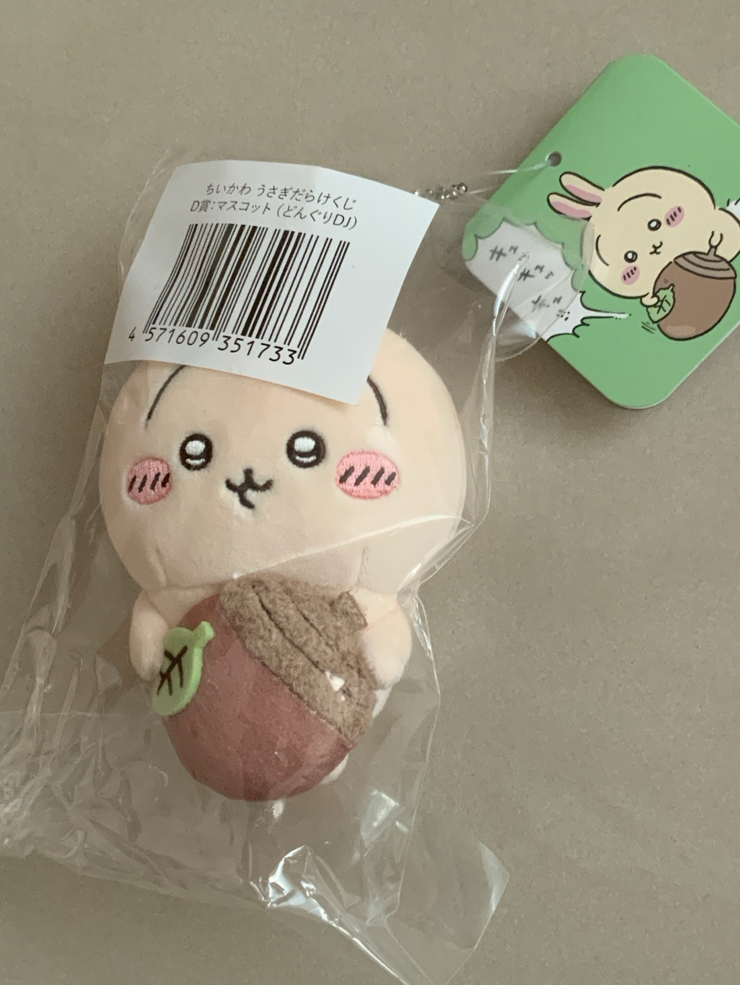 抱著橡實的兔兔