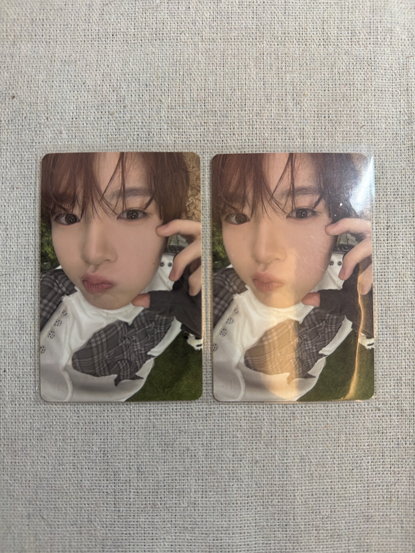 SAKUYA | COLOR 單封專卡