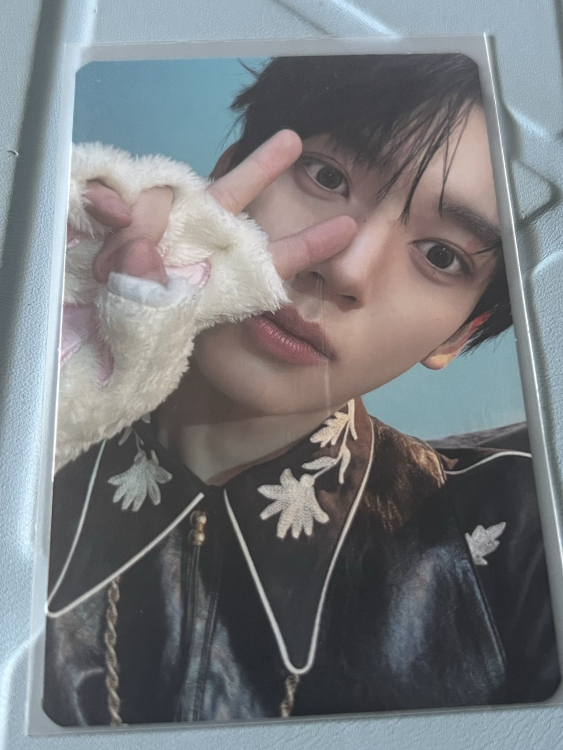 zb1 韓維辰 快閃卡包卡 貓咪