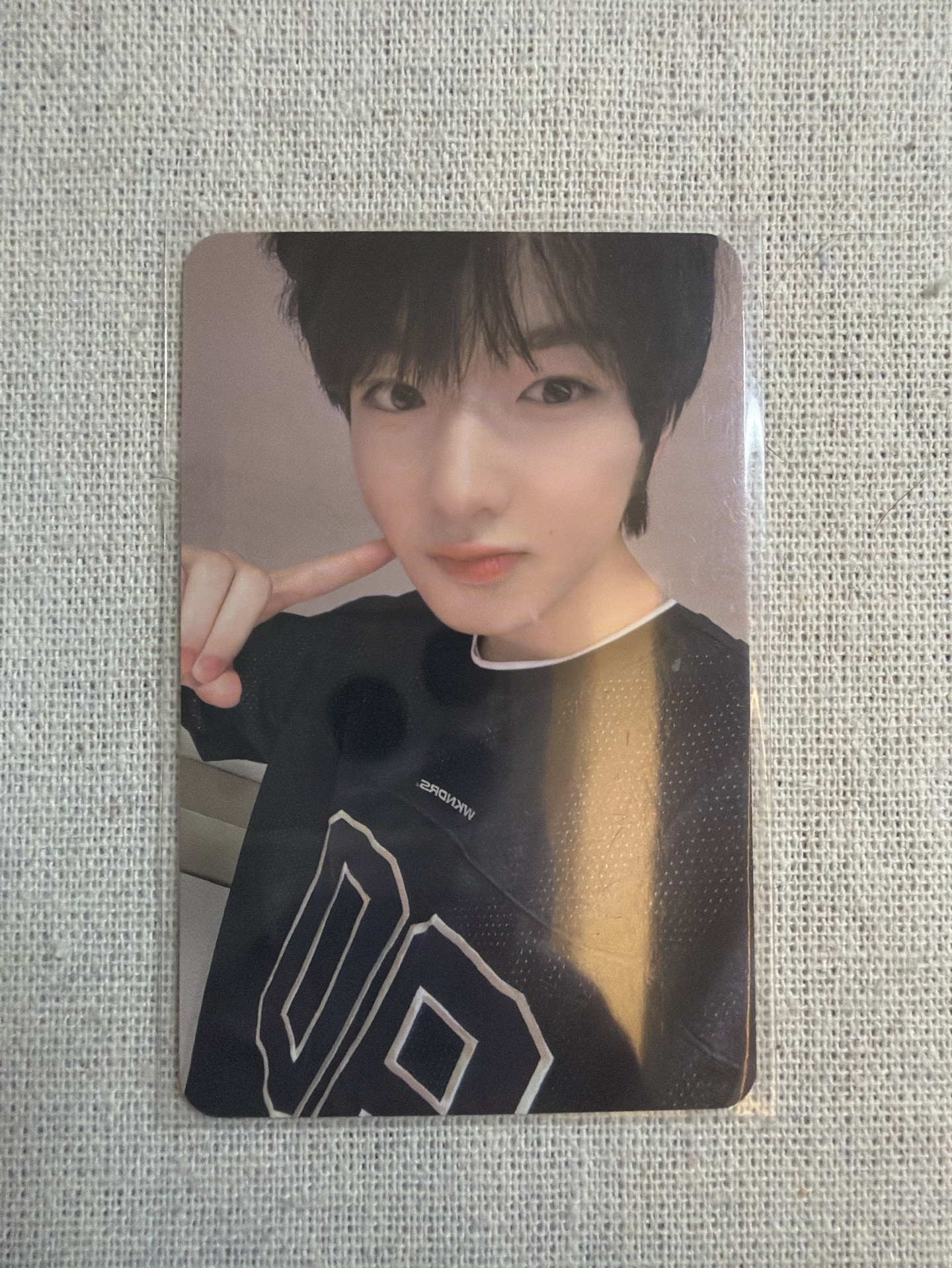 SAKUYA | Steady 星光卡