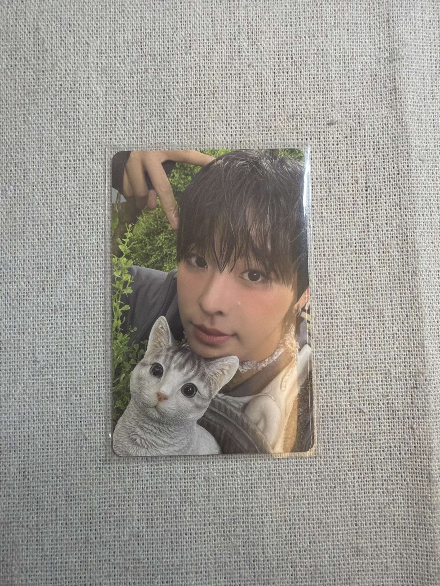 前田陸 | Color 專卡