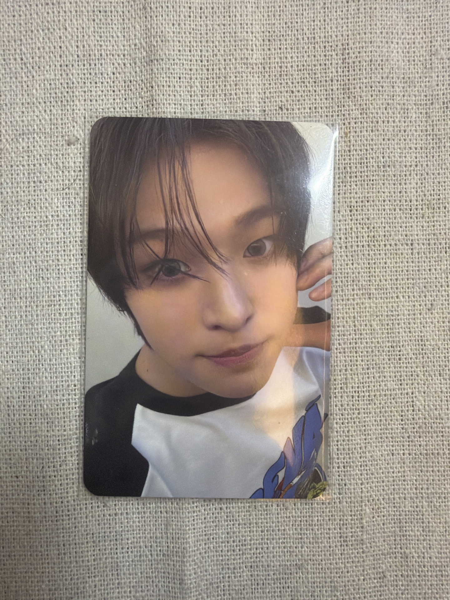 前田陸 | poppop專卡