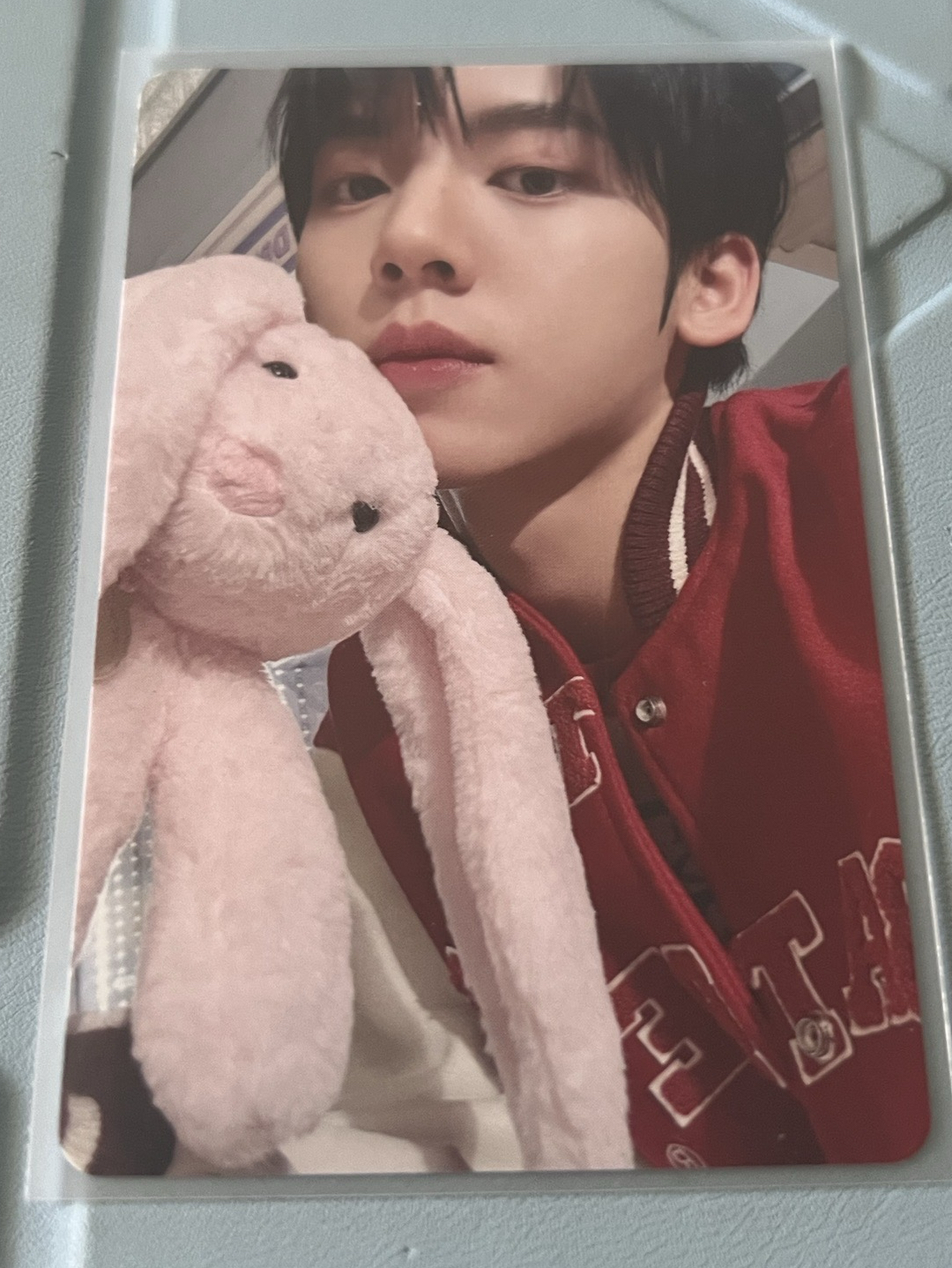 zb1 韓維辰 兔子