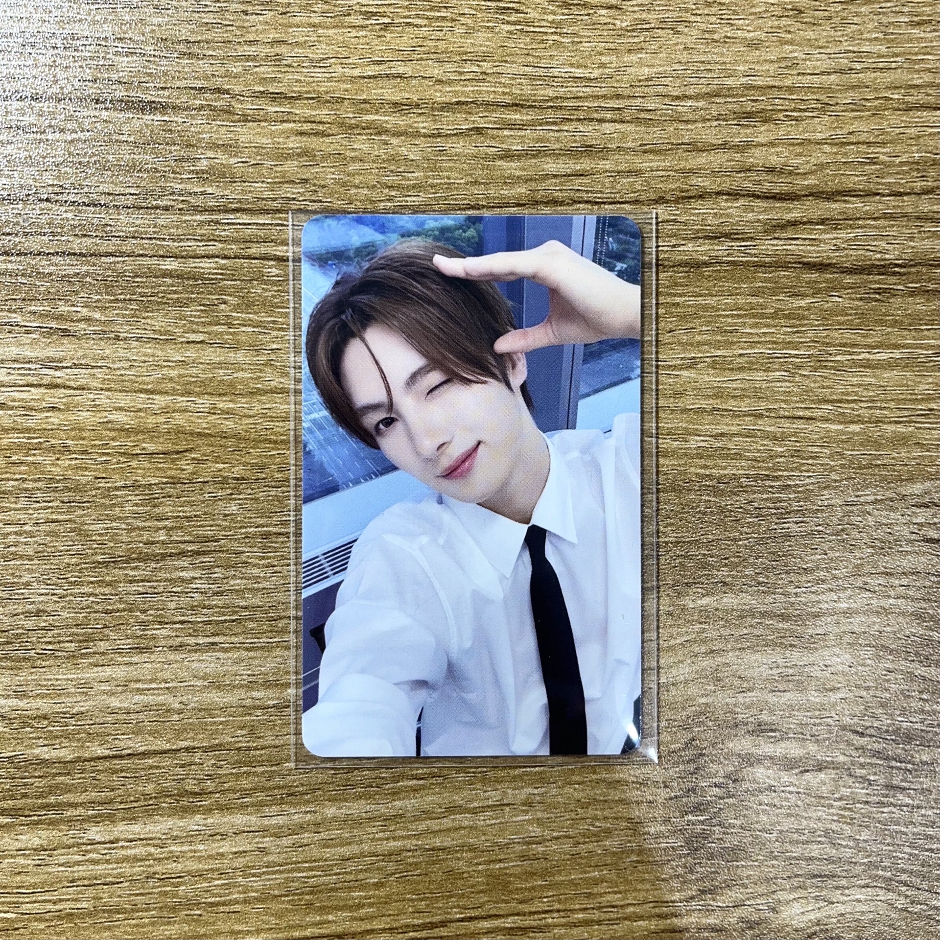 SW快閃 狗耳 崔英宰