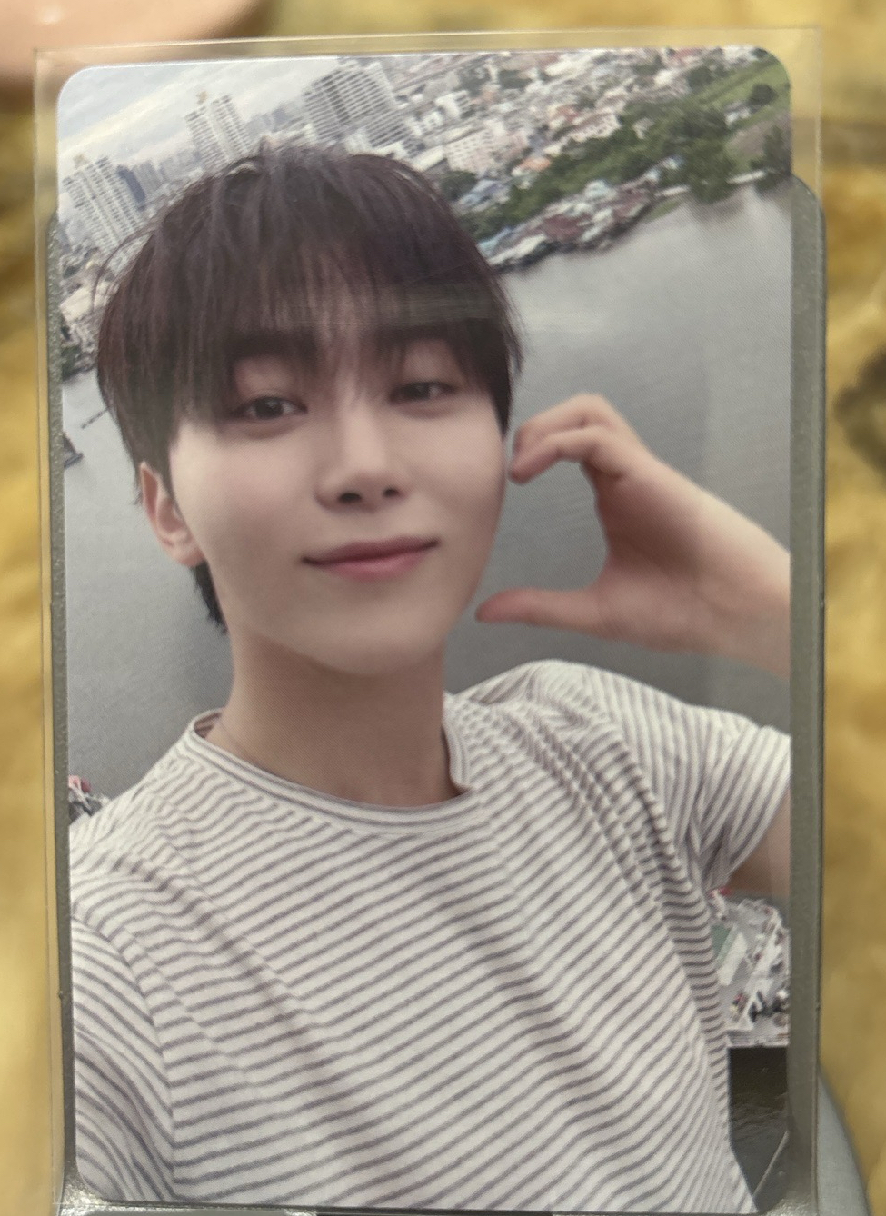 MINI12 日咖 愛知 入場卡 / 場限卡 