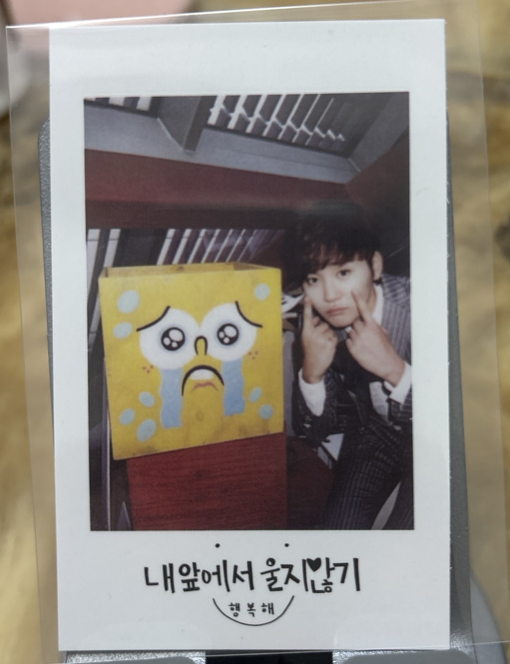 MINI2 專輯卡 ｜SEEK ver