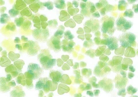 네잎클로버🍀