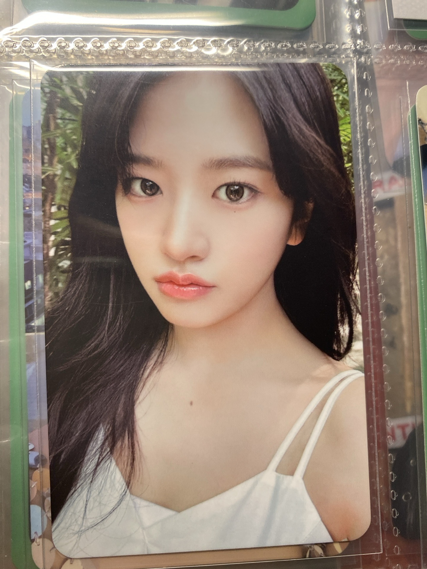 夏日寫真 周邊卡 固配卡