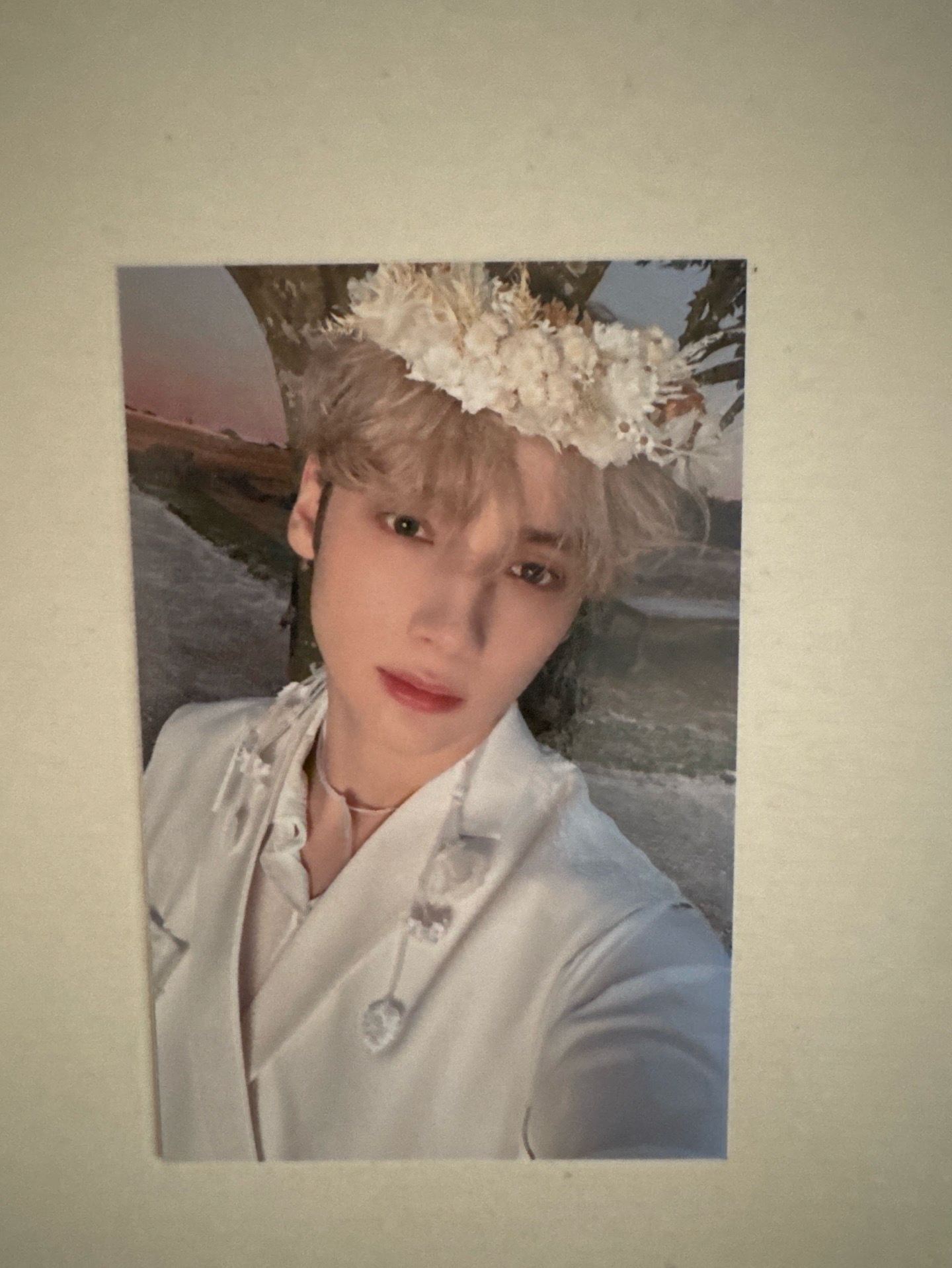 24’巡迴 入場卡 / 場限卡 moa zone 粽卡 zone卡