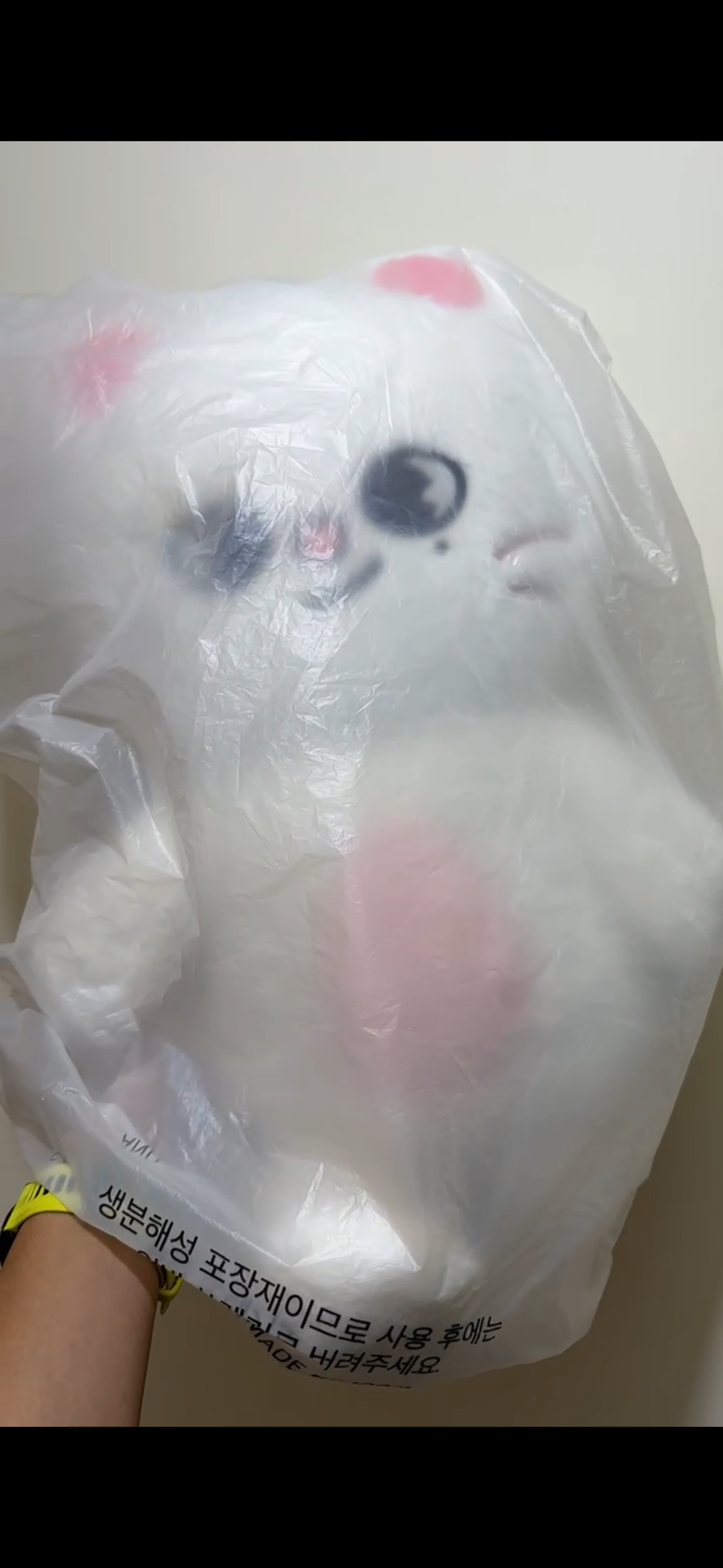 Jiniret 泰迪 + 唇膏