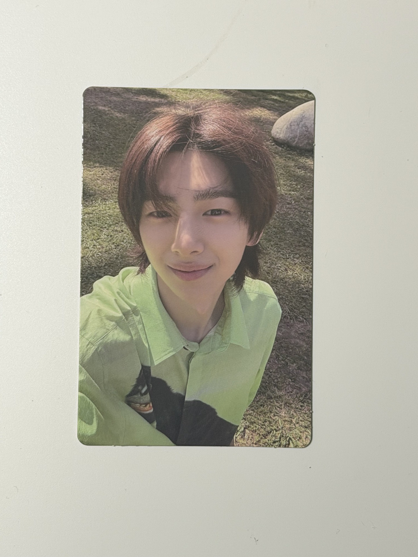 金主訓 迷一專卡