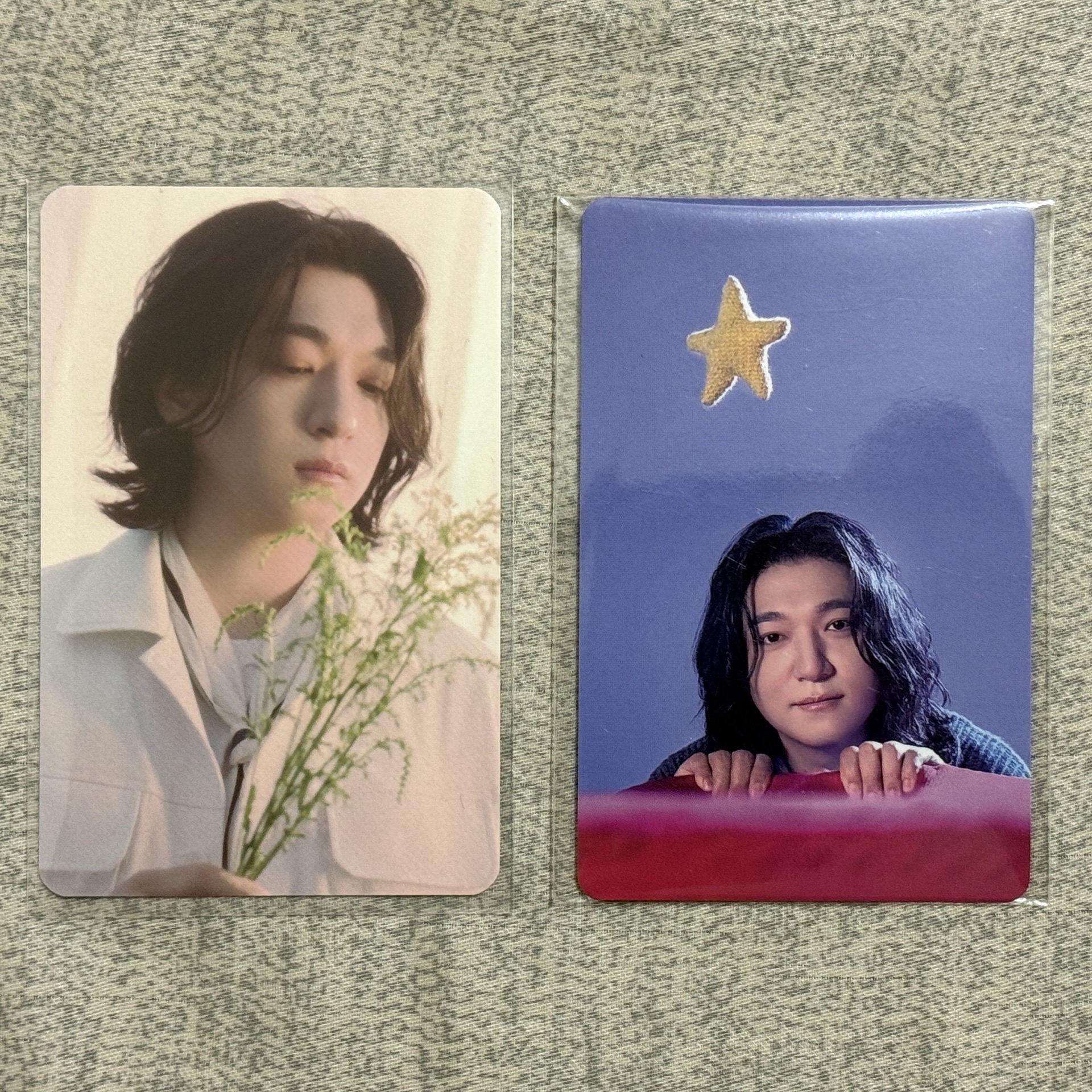 🐻聖誕控線下滿額卡+飯咪隨機卡