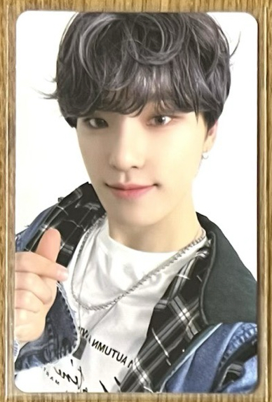 INCOMPLETE 演唱會 DVD / CD 卡 DVD ver.