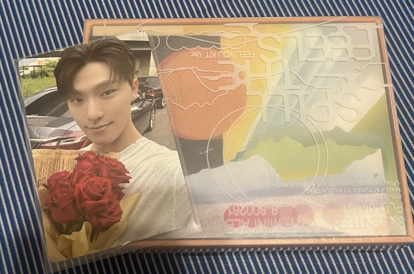 DINO 迷12 KIT全專