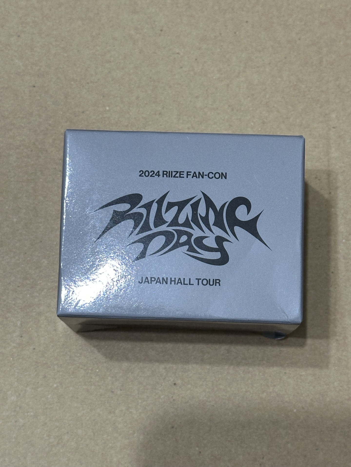 RIIZE RIIZING DAY 手燈環 成燦 