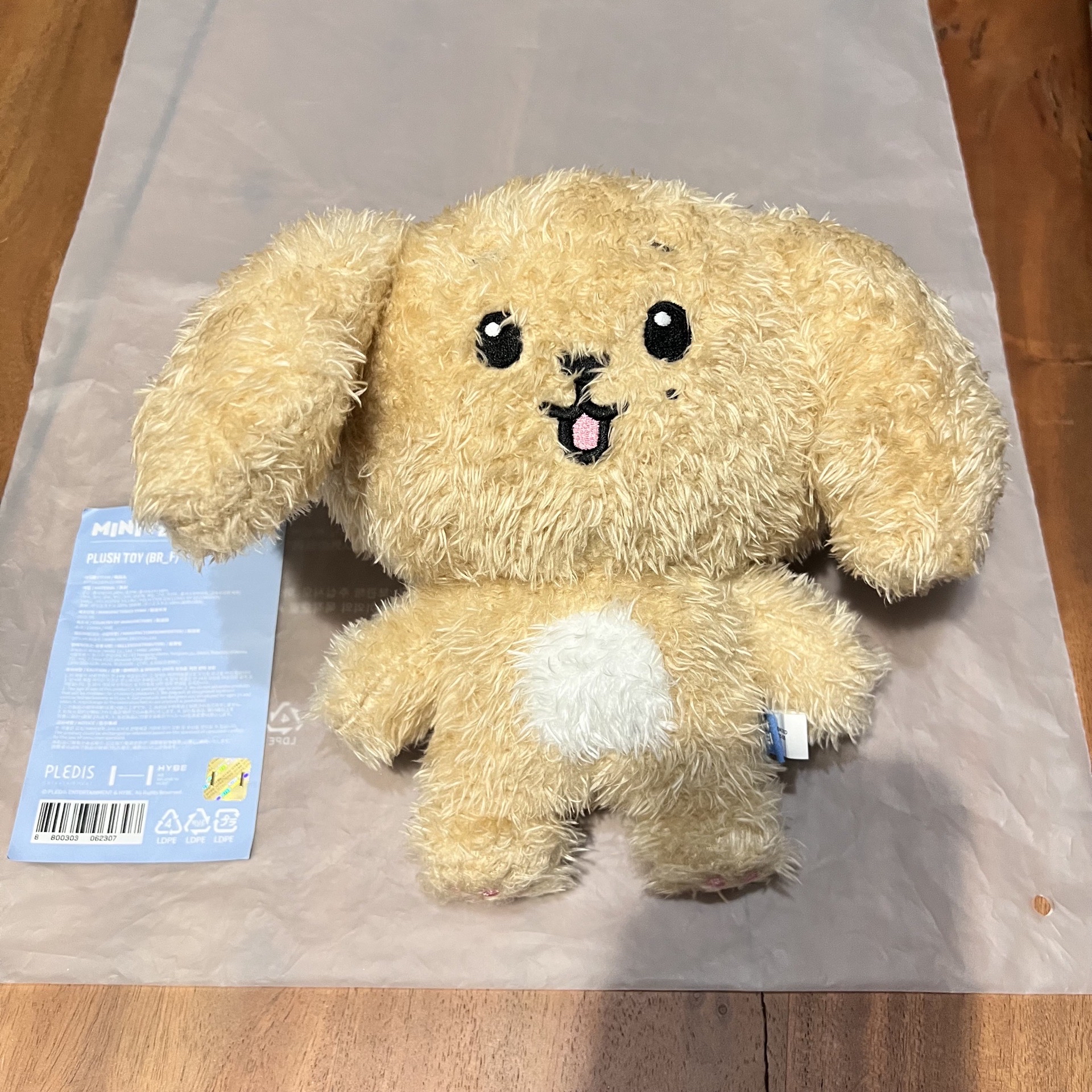 Miniteen DOA 有原袋 碩珉 站娃