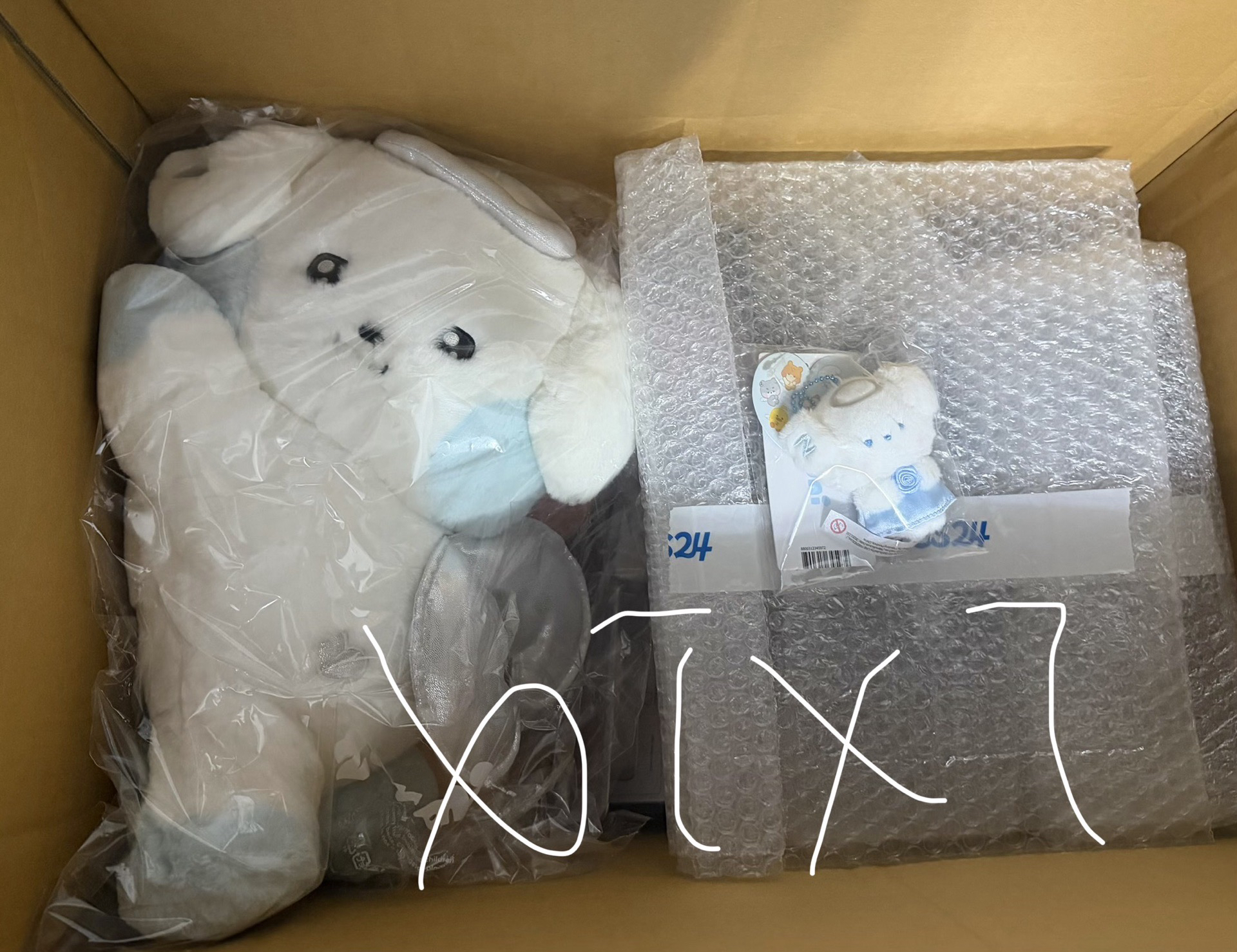 ZB1 gyunini 大小天使娃 （一起出）