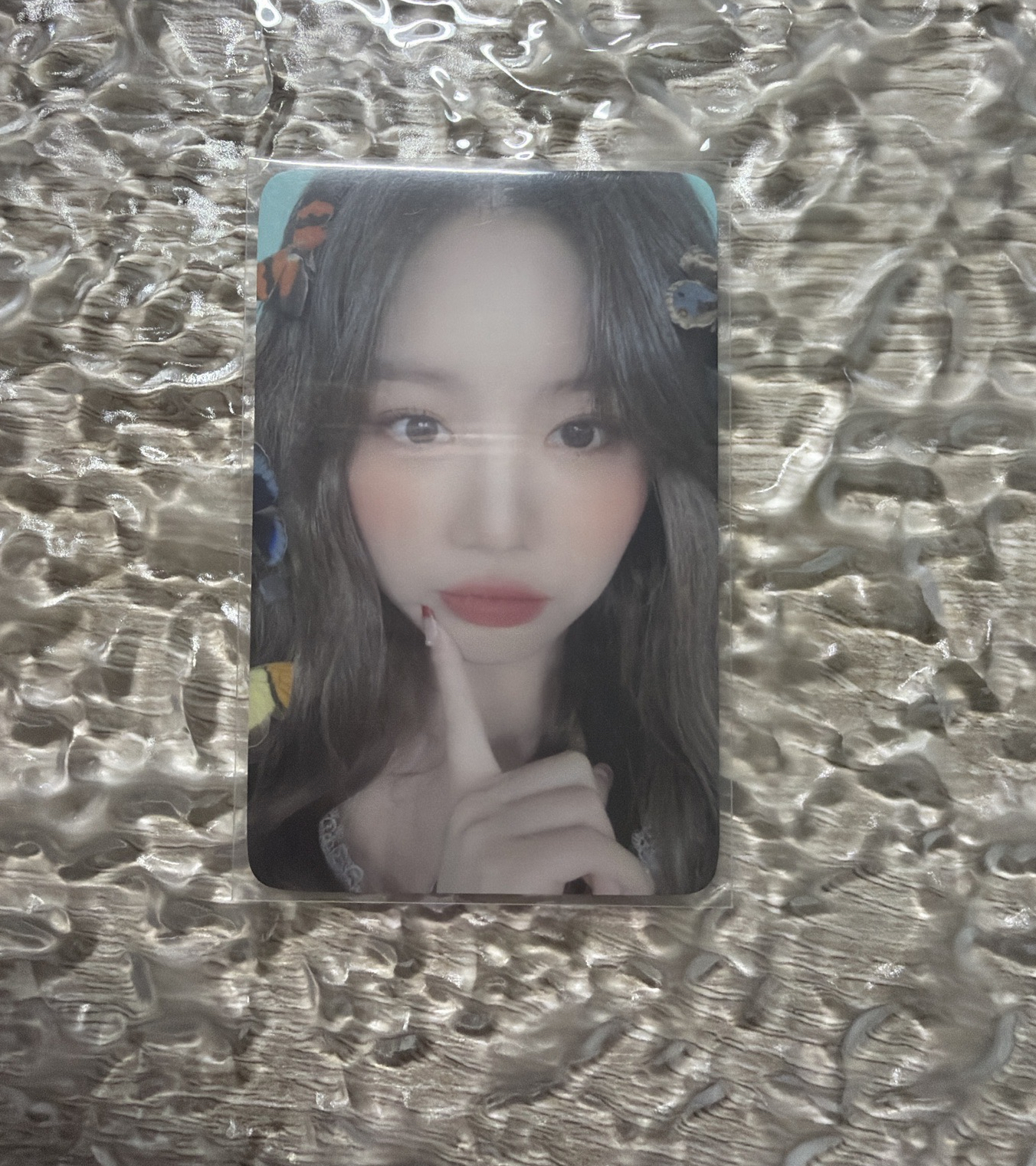 花火K4特典蝴蝶珍