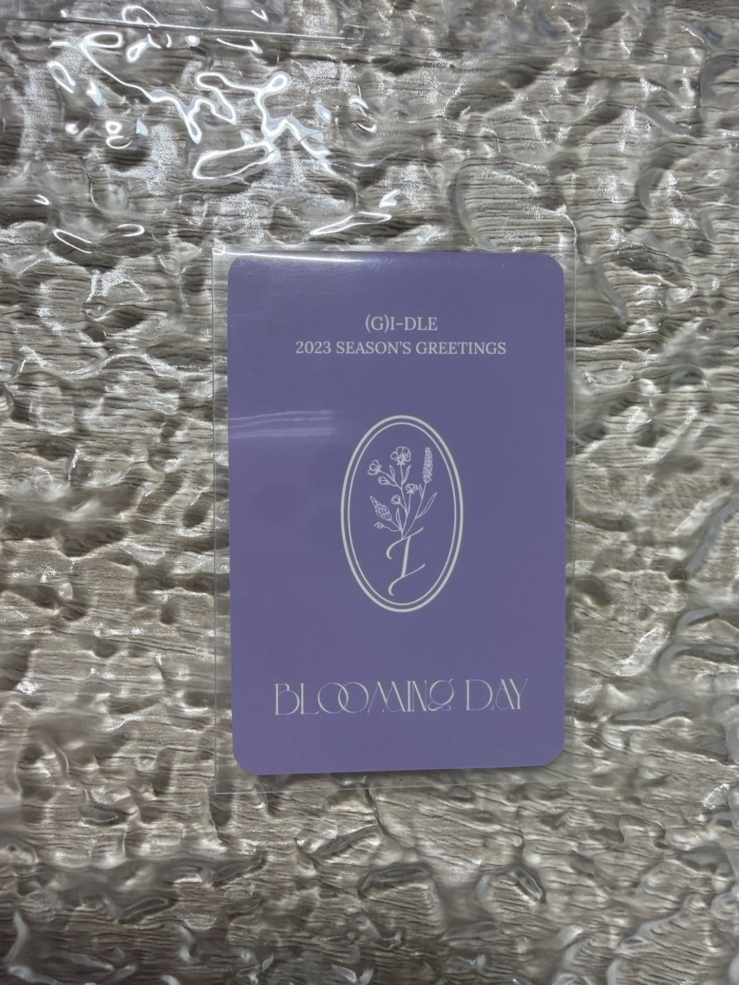 雨琦 23年年曆 am 特典