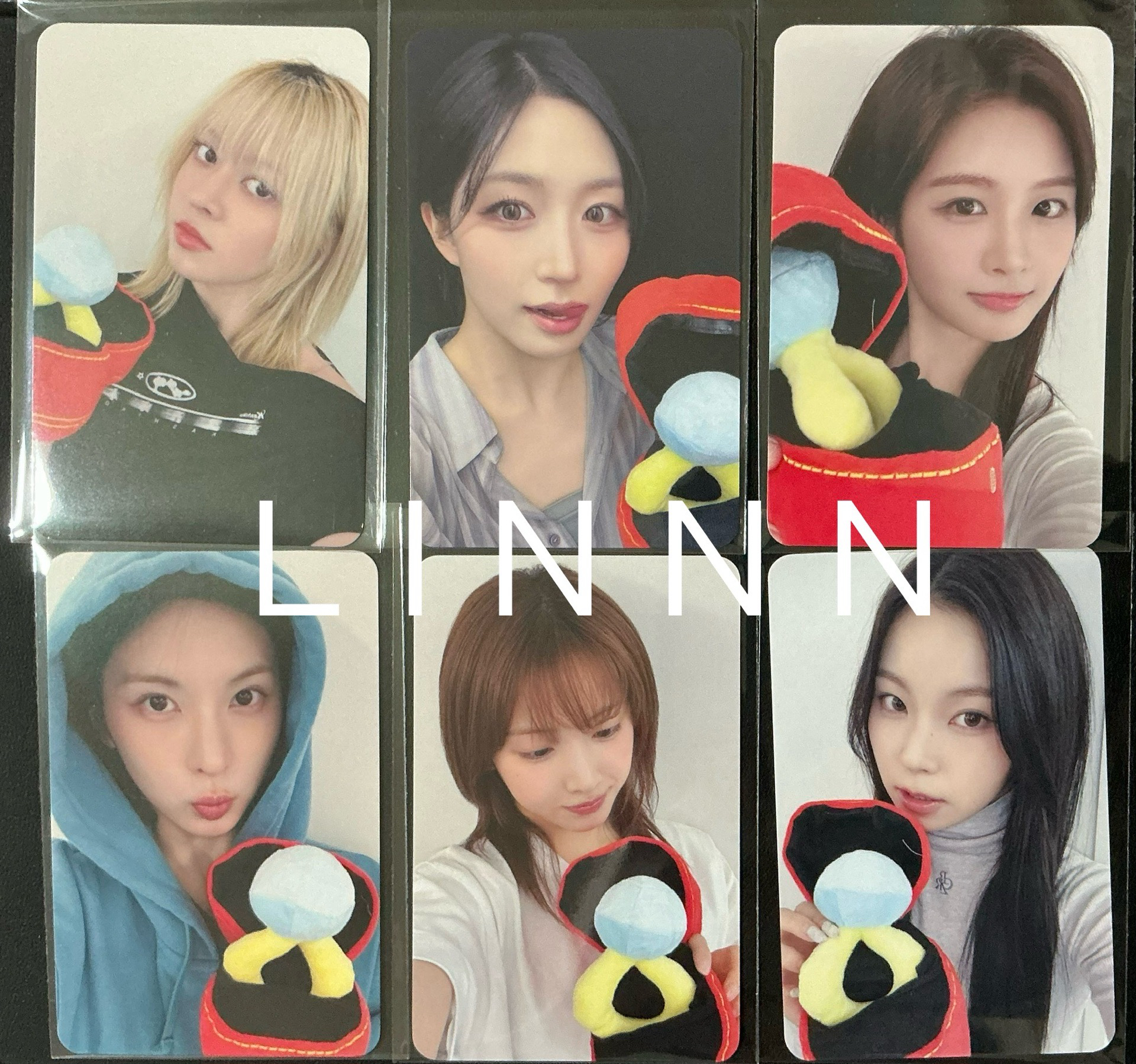 MS熊熊一套+台北16.0合影一套